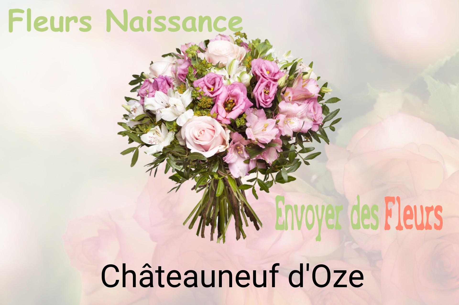 Bouquet de fleurs de naissance livré à Châteauneuf-d'Oze